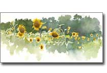 Sunflowers print